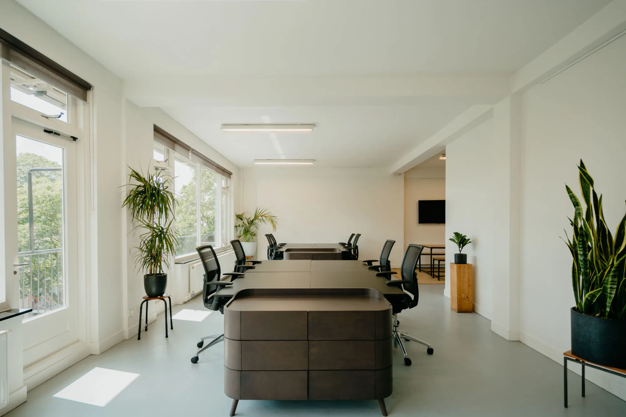 Een moderne, lichte kantoorruimte met bureaus, stoelen en groenplanten bij het raam.