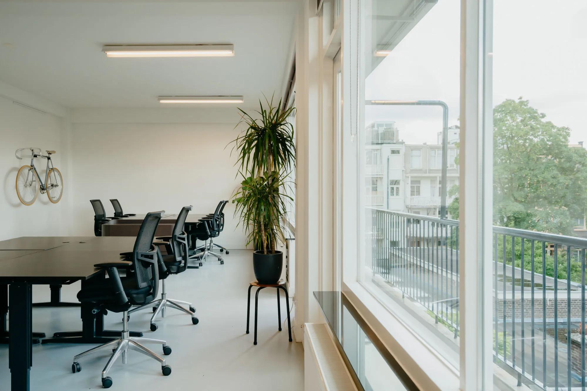 Een moderne kantoorruimte met bureaus, stoelen, een fiets aan de muur en een grote plant bij het raam.