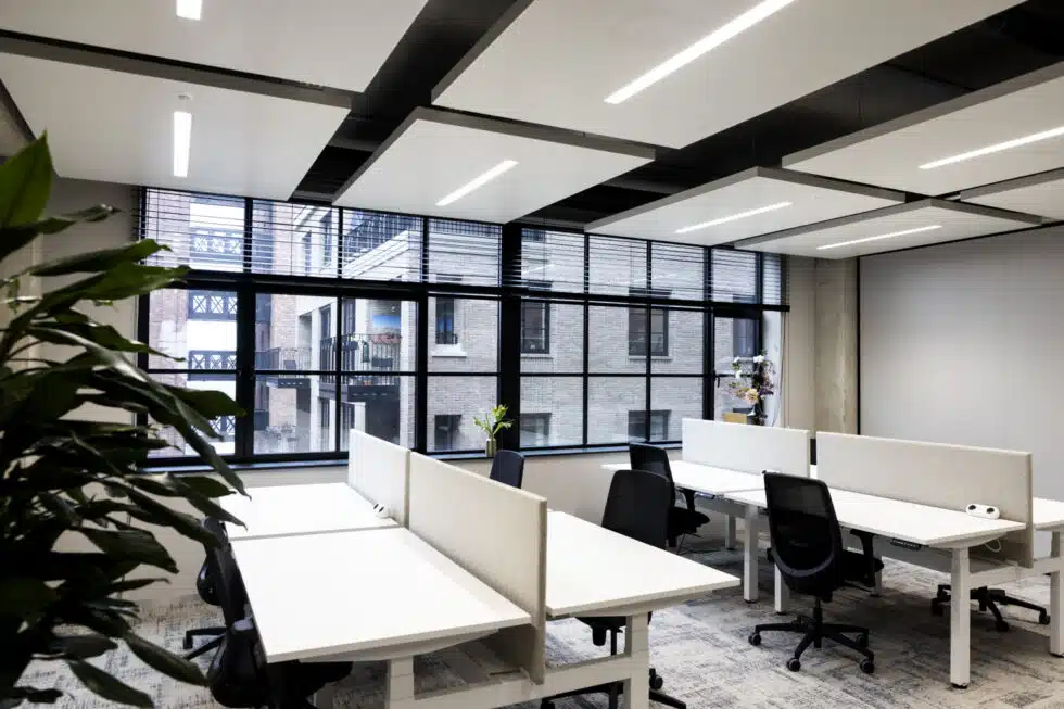 Een moderne kantoorruimte met meerdere bureaus en stoelen, grote ramen met uitzicht op een naastgelegen gebouw, en een grote plant links.
