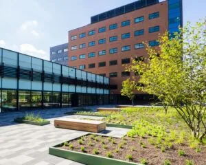 Groen dakterras met plantenbakken en zitbanken naast een modern kantoorgebouw met rode bakstenen gevel.