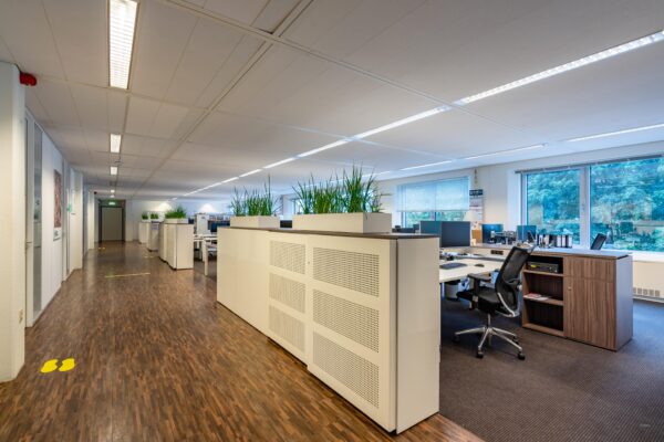 Een moderne, goed verlichte kantoorruimte met bureaus, stoelen en groene planten.