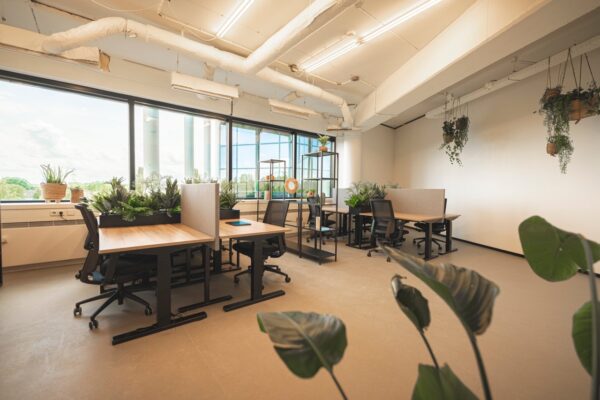 Moderne kantoorruimte met bureaus, ergonomische stoelen en veel groene planten voor een rustige werkomgeving.