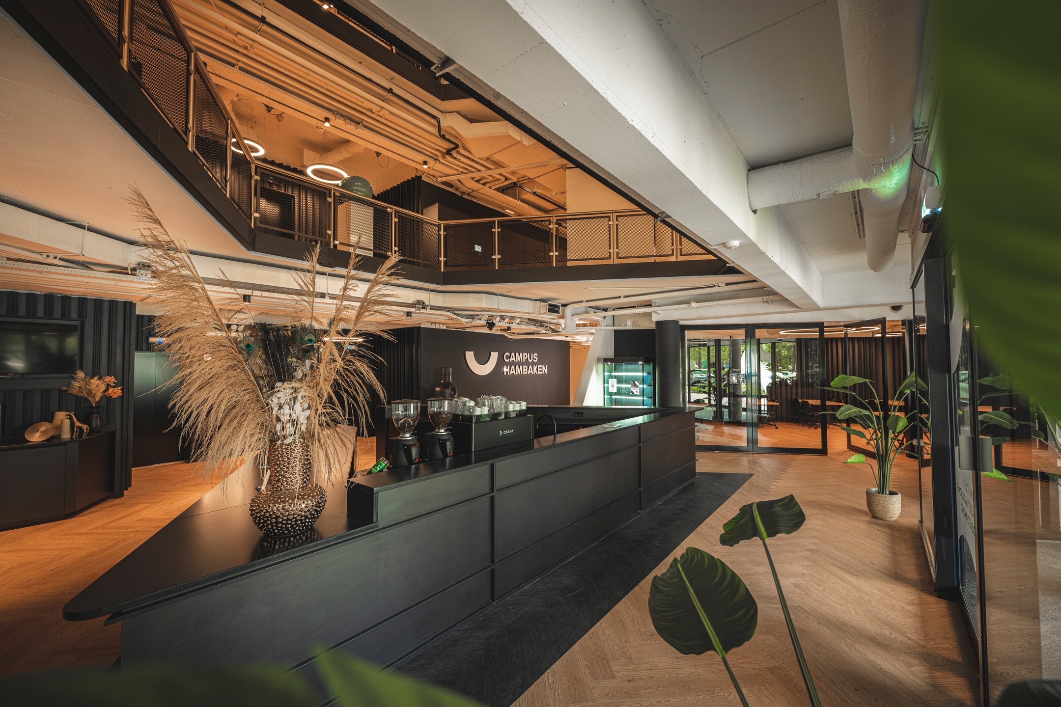 Moderne ontvangstruimte van Campus Hambaken met een zwarte balie, planten en warme verlichting.