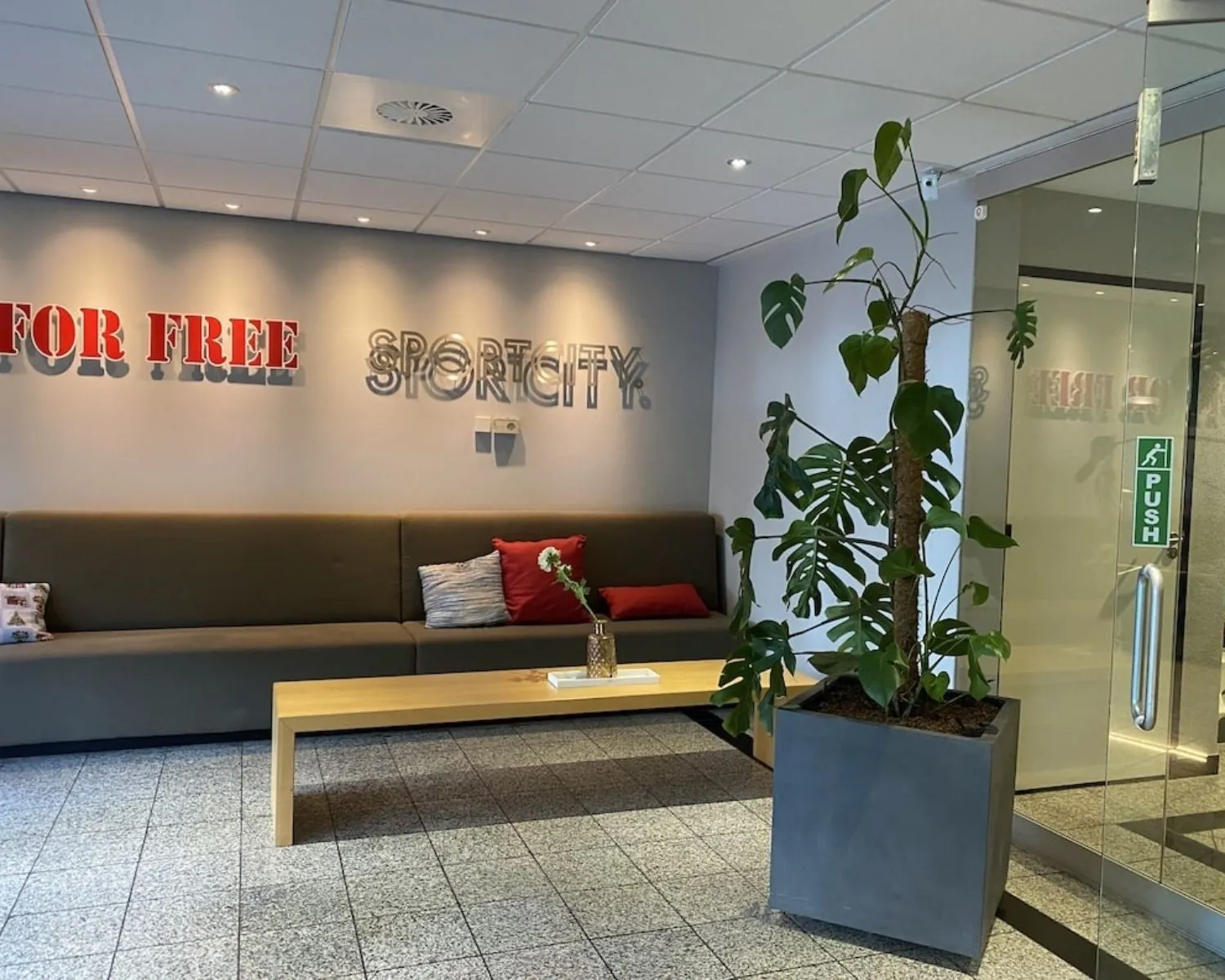 Moderne wachtruimte in kantoorruimte Elisabethhof in Leiderdorp met zitbank, grote plant en glazen deur.