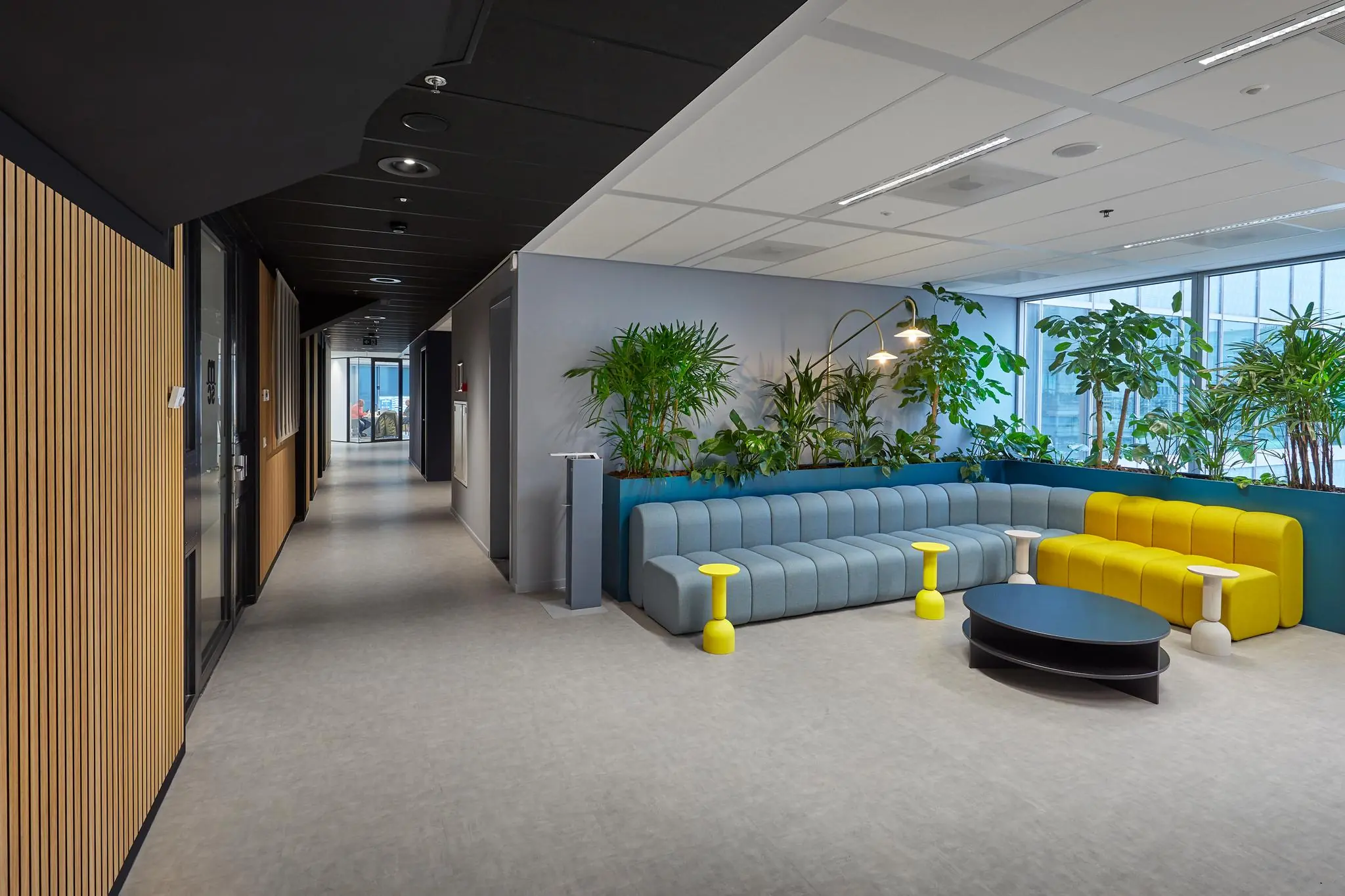 Moderne kantoorlounge bij Blaak met kleurrijke zitbanken, tafeltjes en veel groene planten.