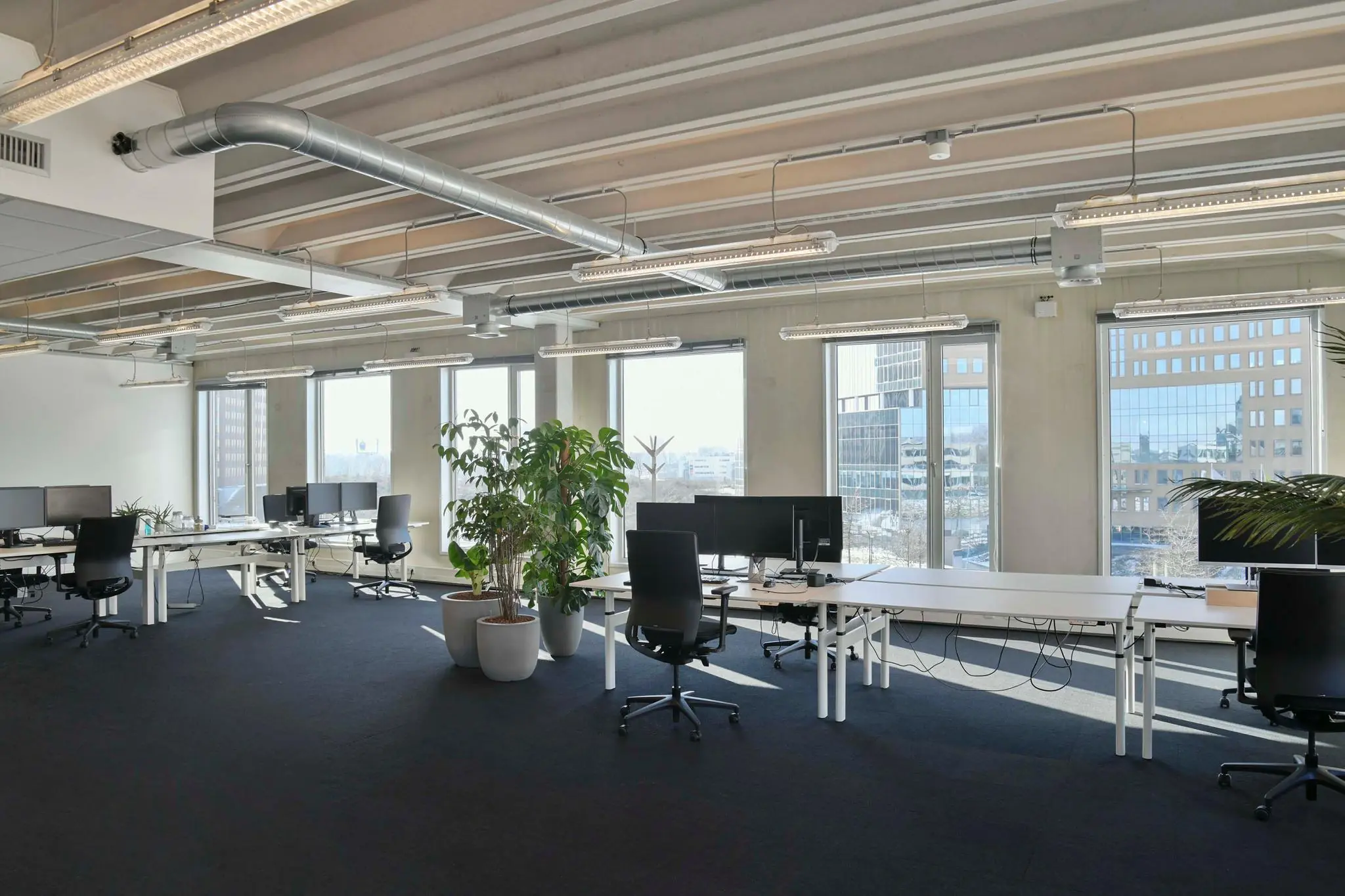 Modern, licht en ruim kantoor aan de Bahialaan met werkplekken, grote ramen en groene planten.