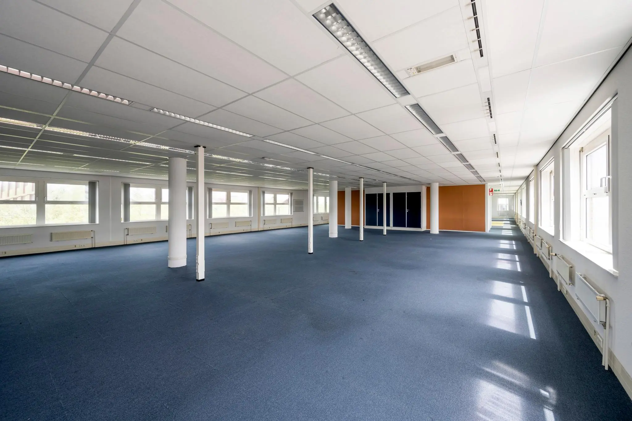 Lege kantoorruimte met blauw tapijt, witte kolommen en grote ramen die veel daglicht binnenlaten.