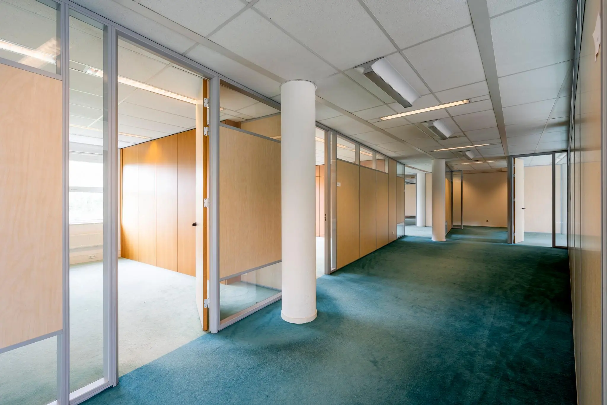 Kantoorgang met afgesloten kantoorruimtes, houten panelen en blauw tapijt.