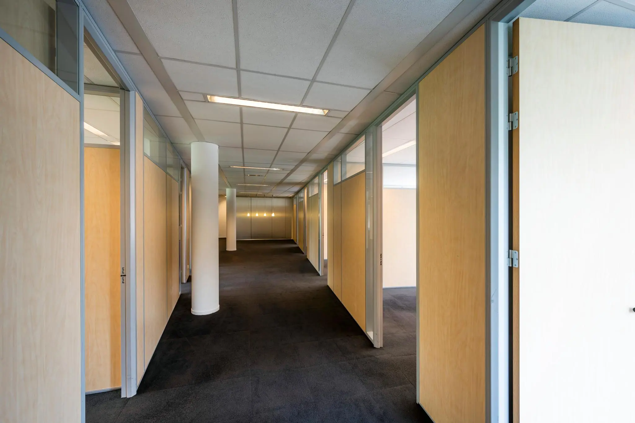 Moderne kantoorhal met houten deurpanelen, glazen wanden en donker tapijt.