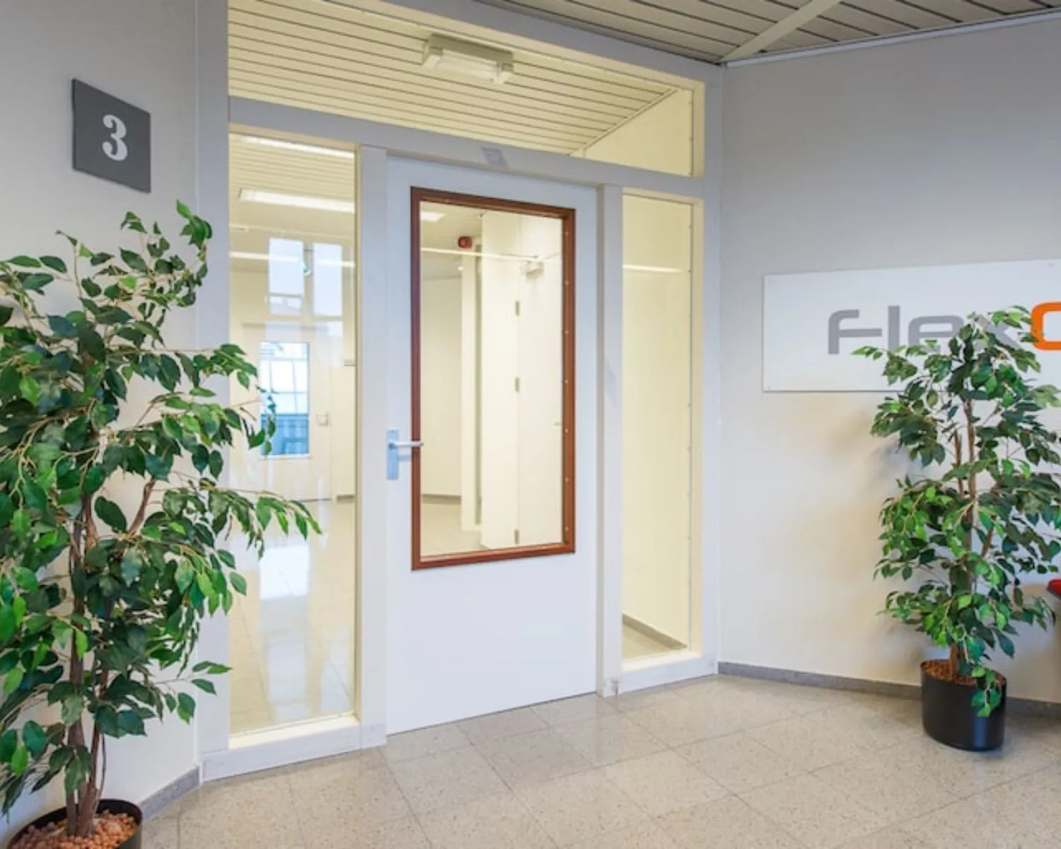 Entree van een kantoorruimte aan de Gaetano Martinolaan 75-95 in Maastricht met witte deur, glaspartijen en twee grote kamerplanten.