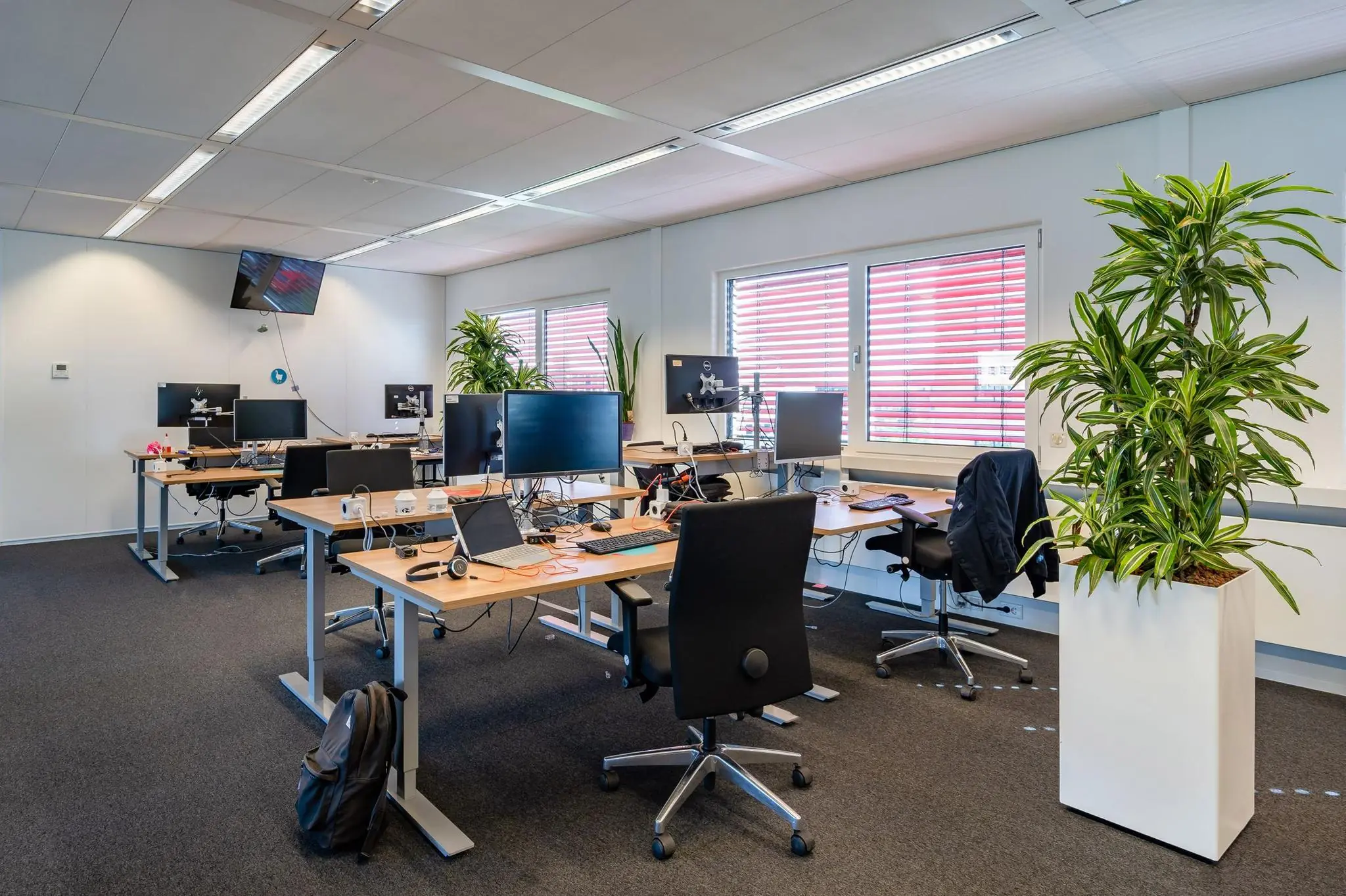 Moderne open kantoorruimte aan de Euclideslaan met meerdere werkplekken, beeldschermen en grote kamerplanten.