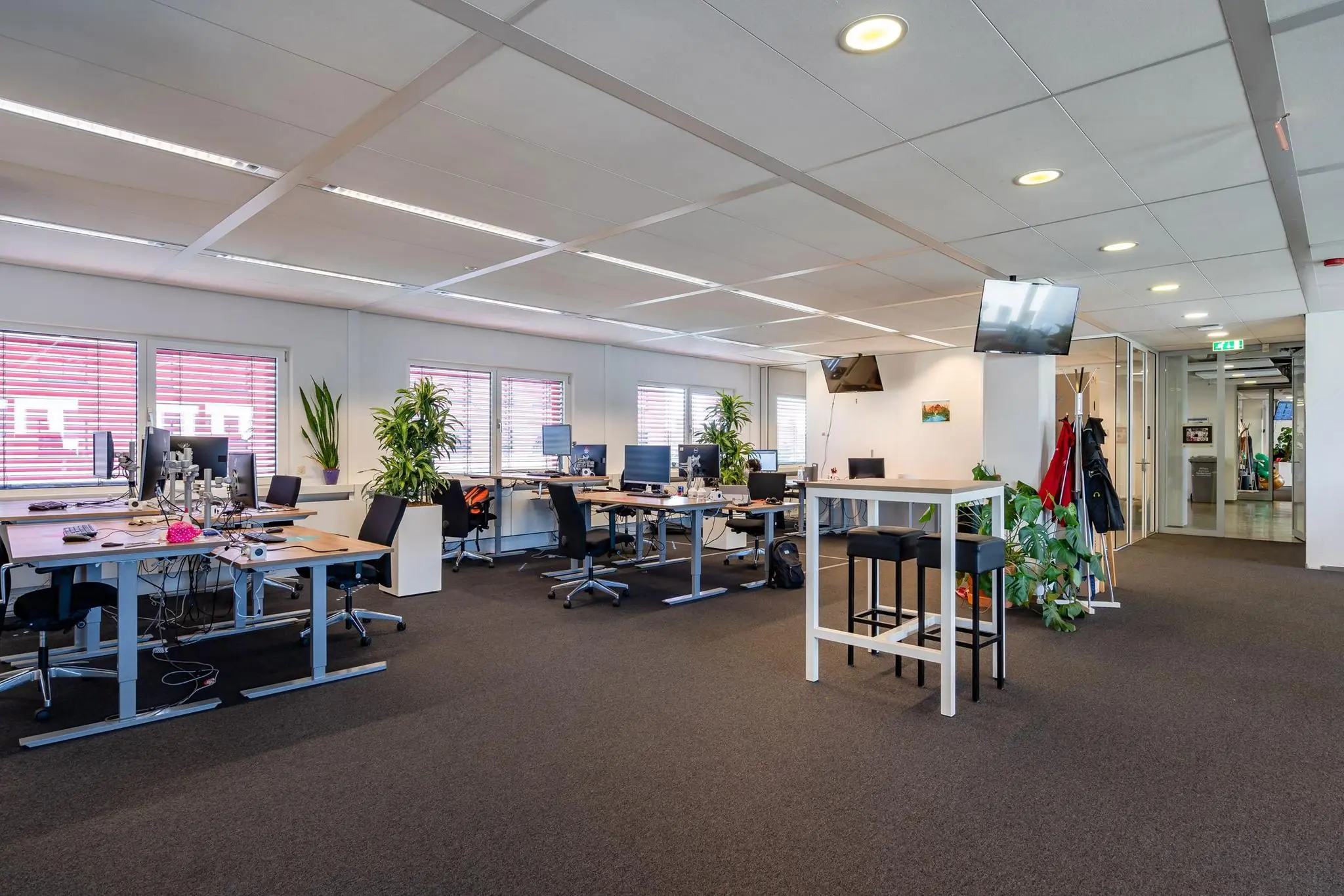 Modern ingericht kantoor aan de Euclideslaan met meerdere werkplekken, grote ramen en veel planten.