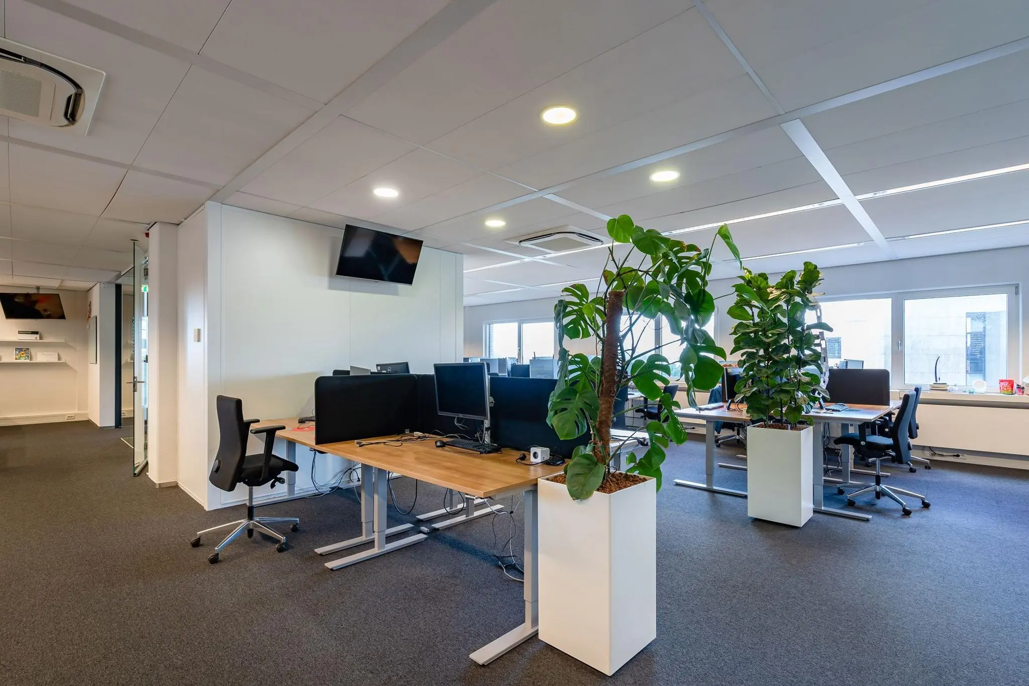 Modern kantoorinterieur aan de Euclideslaan met bureaus, computers, bureaustoelen en grote kamerplanten.