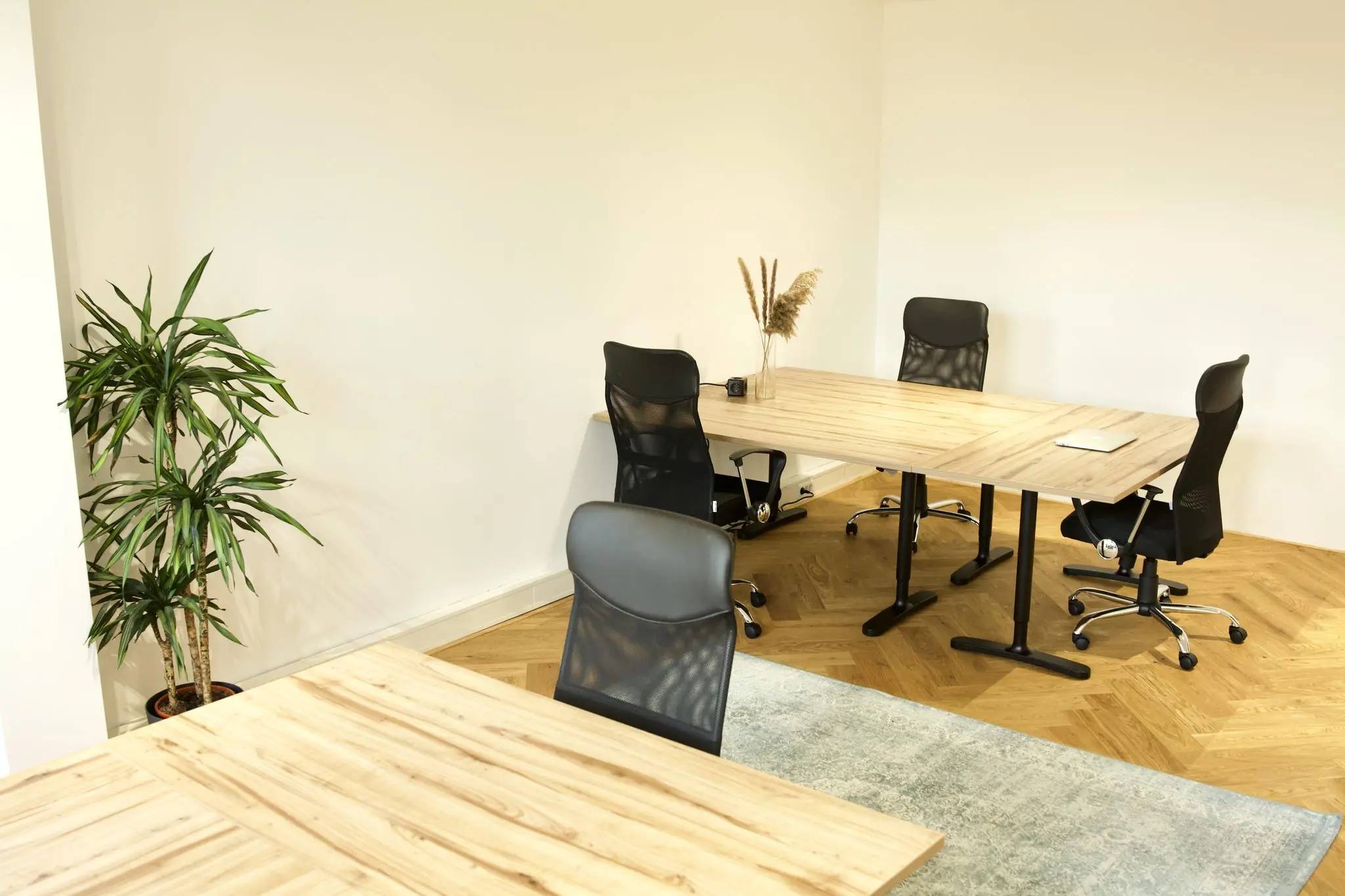 Licht en modern kantoor met houten bureaus, ergonomische stoelen en een groene plant in de hoek.