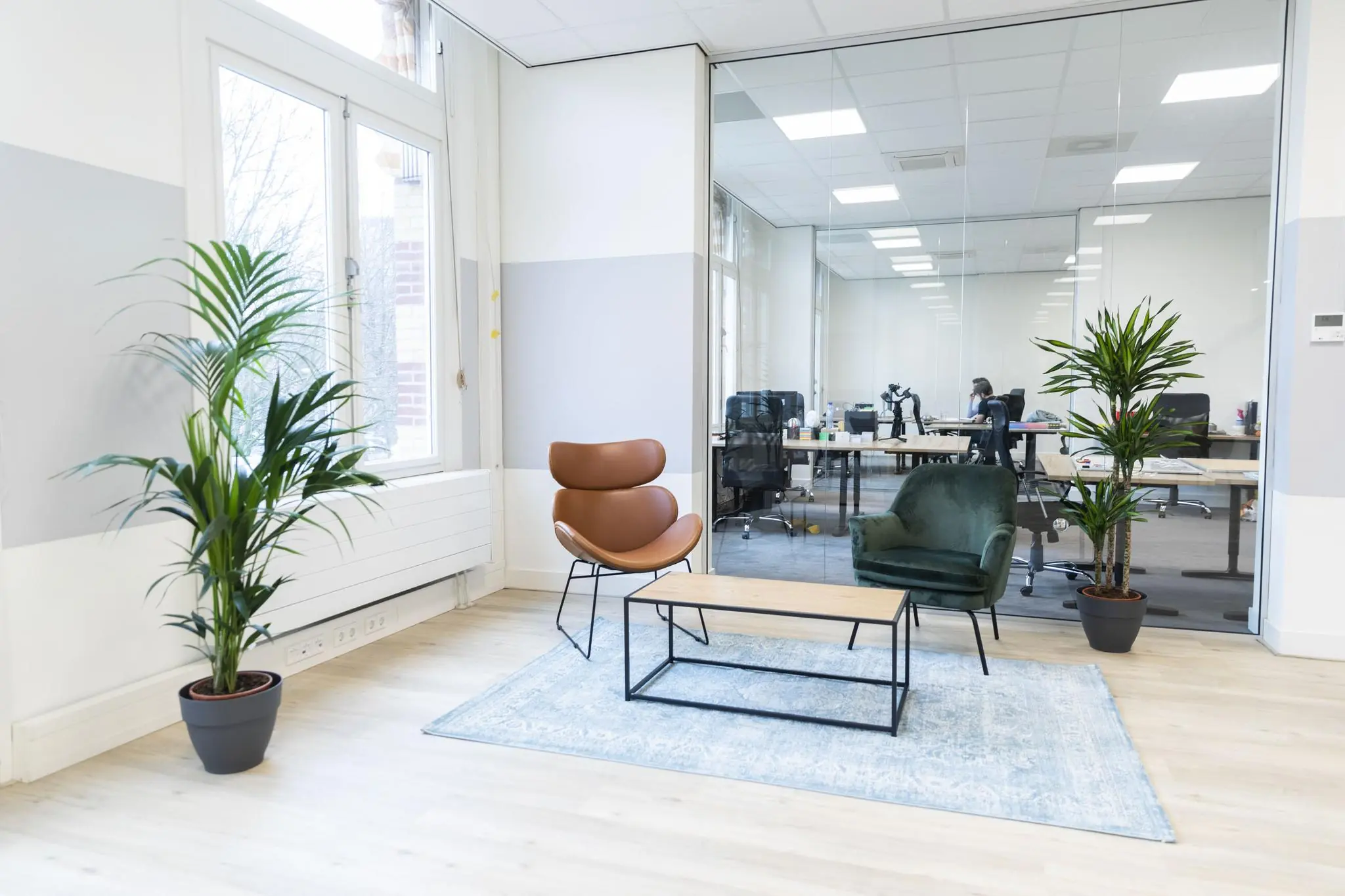 Moderne wachtruimte op het Westplein met designstoelen, een salontafel, kamerplanten en zicht op een glazen kantoormuur.