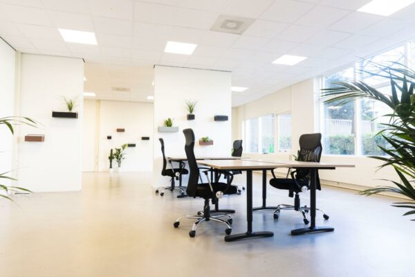 Licht en modern kantoorinterieur aan het Westplein met bureaus, ergonomische stoelen en kamerplanten.