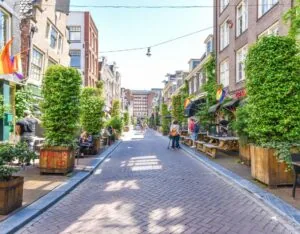 Zonnige straat in de Reguliersdwarsstraat in Amsterdam met terrassen, groene planten en regenboogvlaggen.