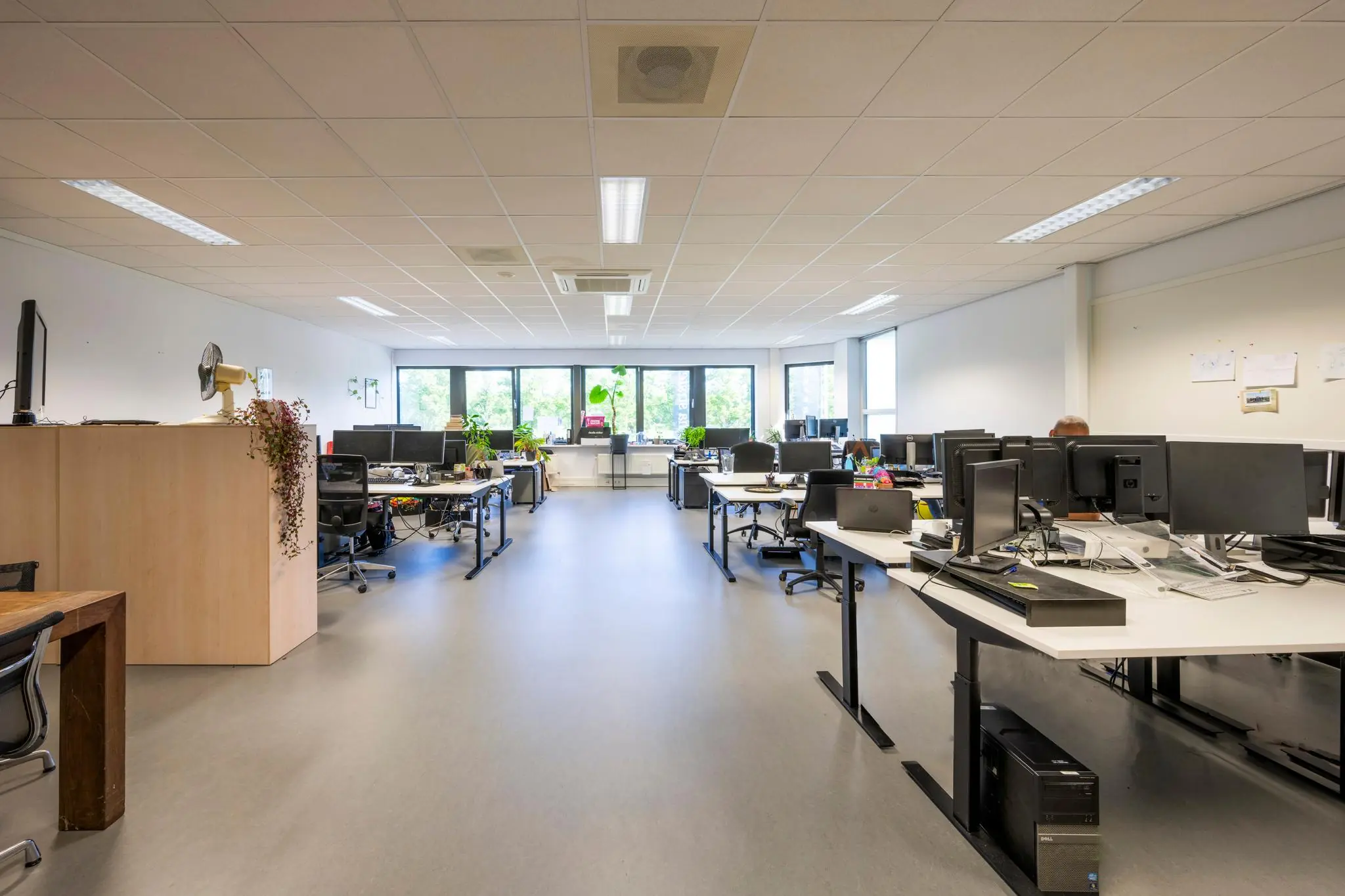 Ruim en licht kantoor met meerdere bureaus, computers en planten, gelegen aan de Stammerhove.