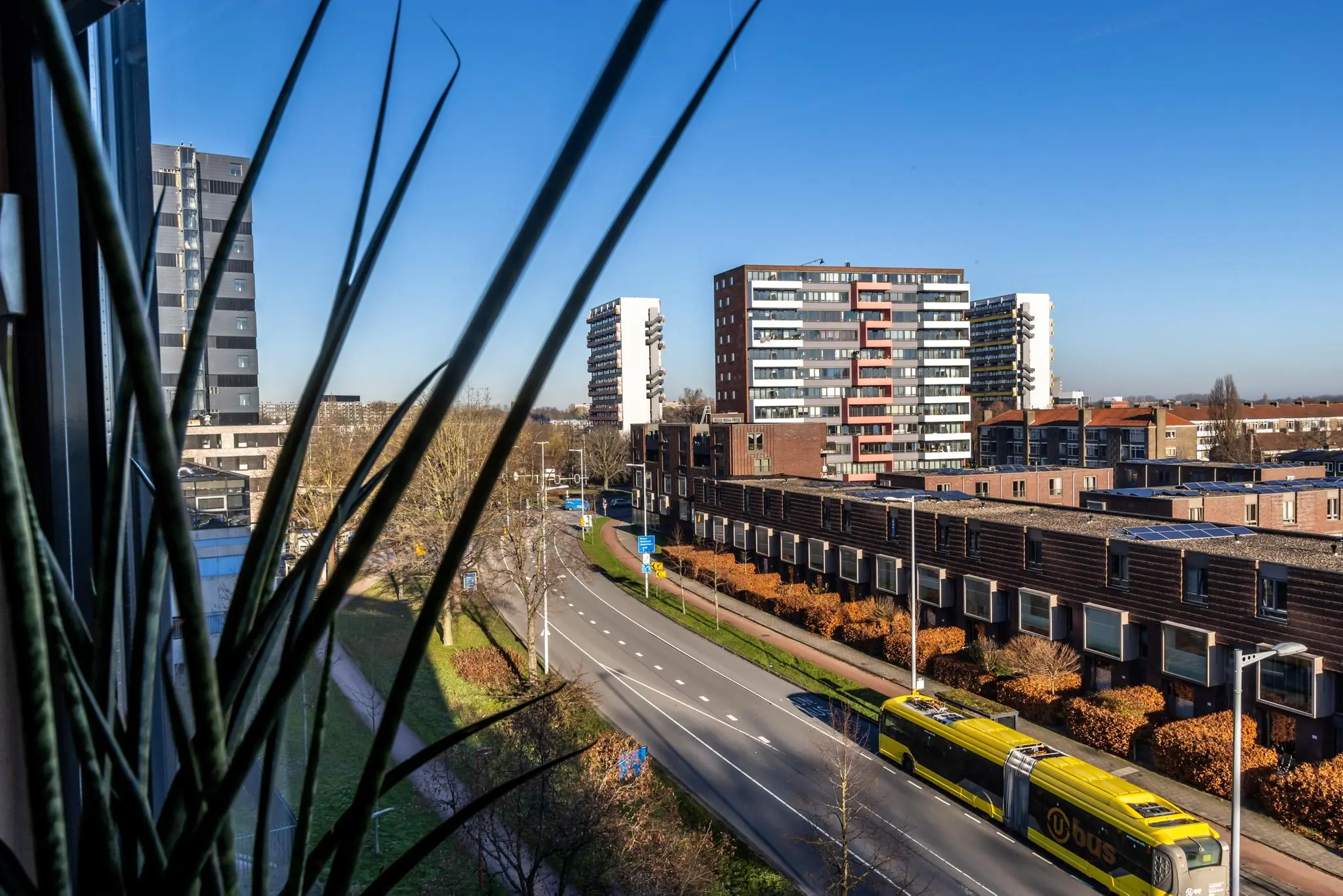 Zicht op de Oudlaan in Utrecht met een gele U-OV bus, moderne appartementen en zonnig weer, gezien vanuit een raam met plant op de voorgrond.