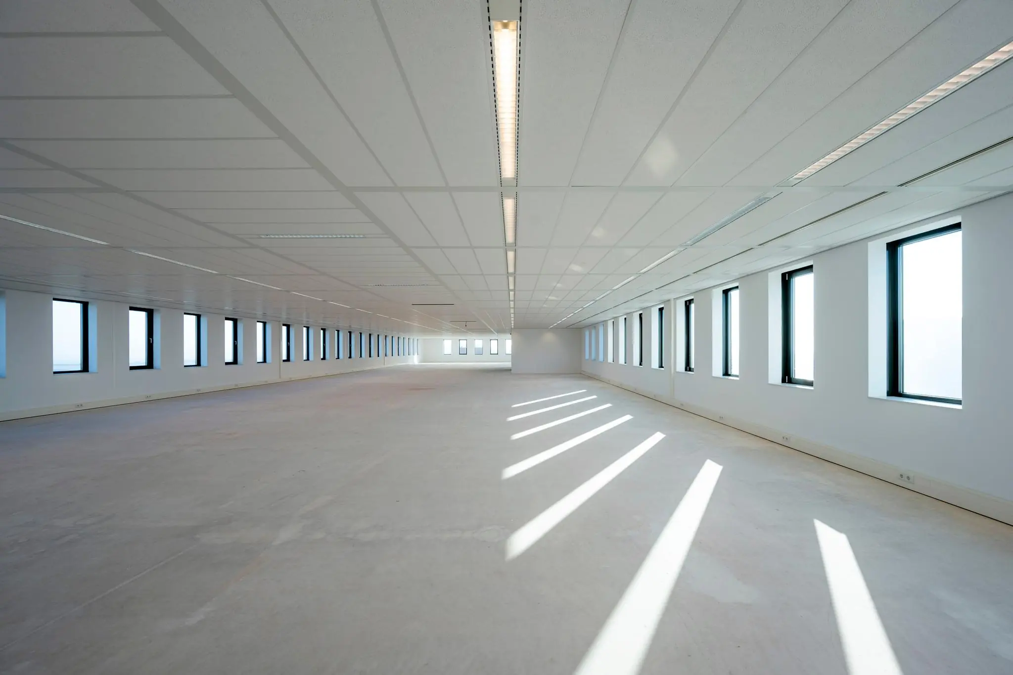 Lichte, leegstaande kantoorruimte aan de Bloemlaan met grote ramen en systeemplafond.