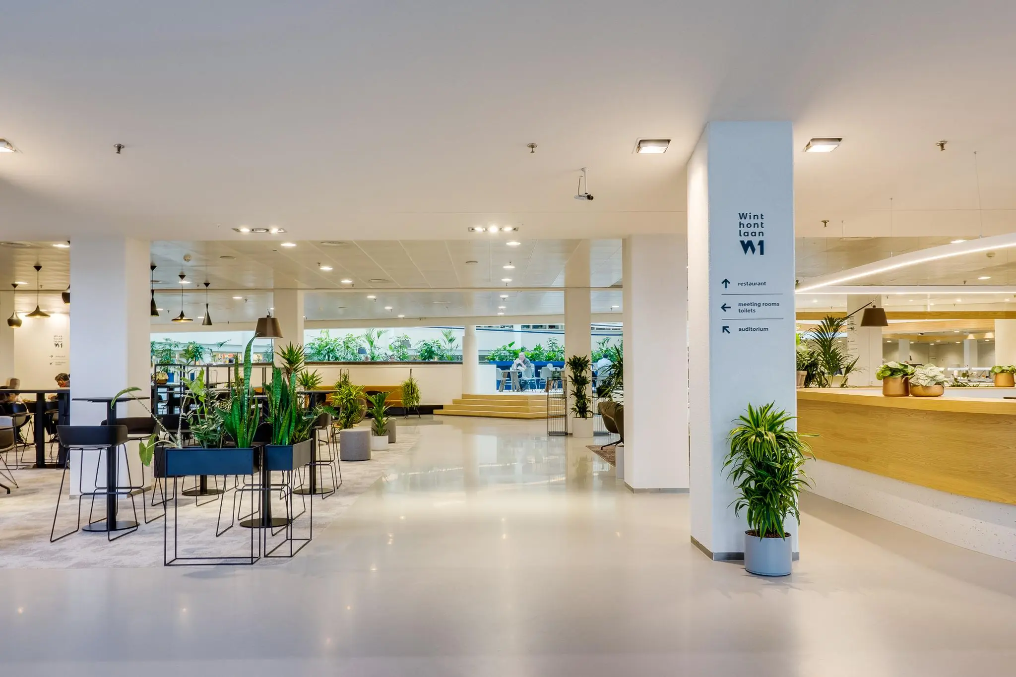 Moderne en open kantoorlobby aan de Winthontlaan met veel planten, zitplekken en een houten receptiebalie.