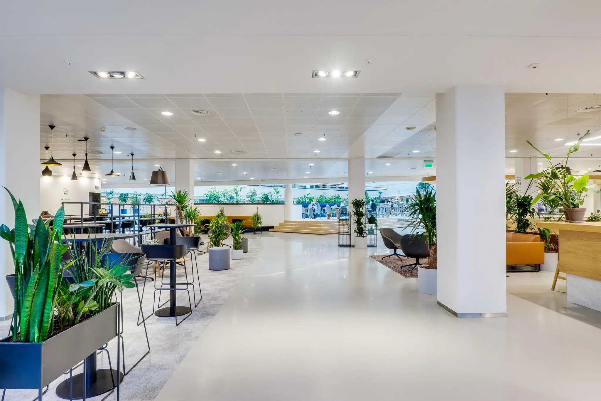 Moderne, open kantoorruimte aan de Winthontlaan met veel planten, zitplekken en een lichte, uitnodigende inrichting.