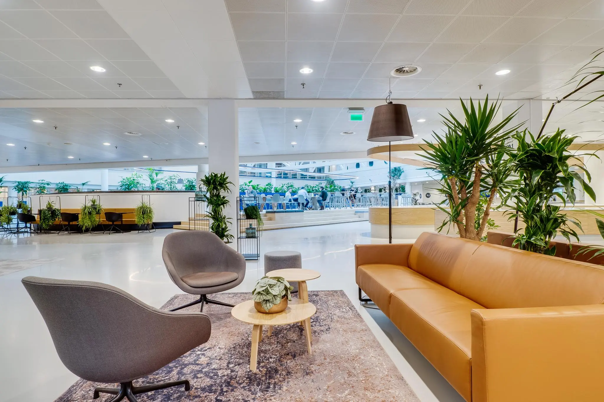 Moderne en open ingerichte loungehoek met planten, zitmeubilair en uitzicht op een bedrijfsrestaurant aan de Winthontlaan.