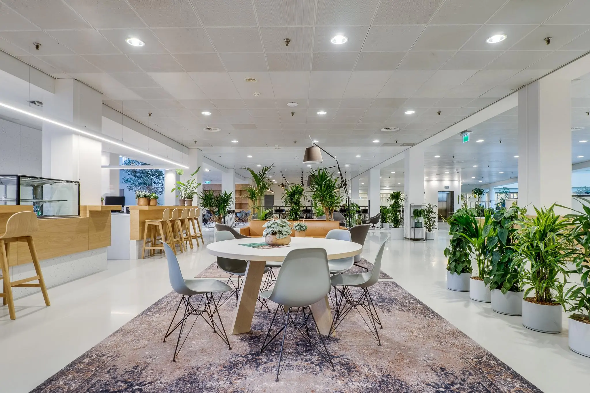 Moderne en open kantoorlounge aan de Winthontlaan met zitgelegenheid, veel planten en een strakke, lichte inrichting.