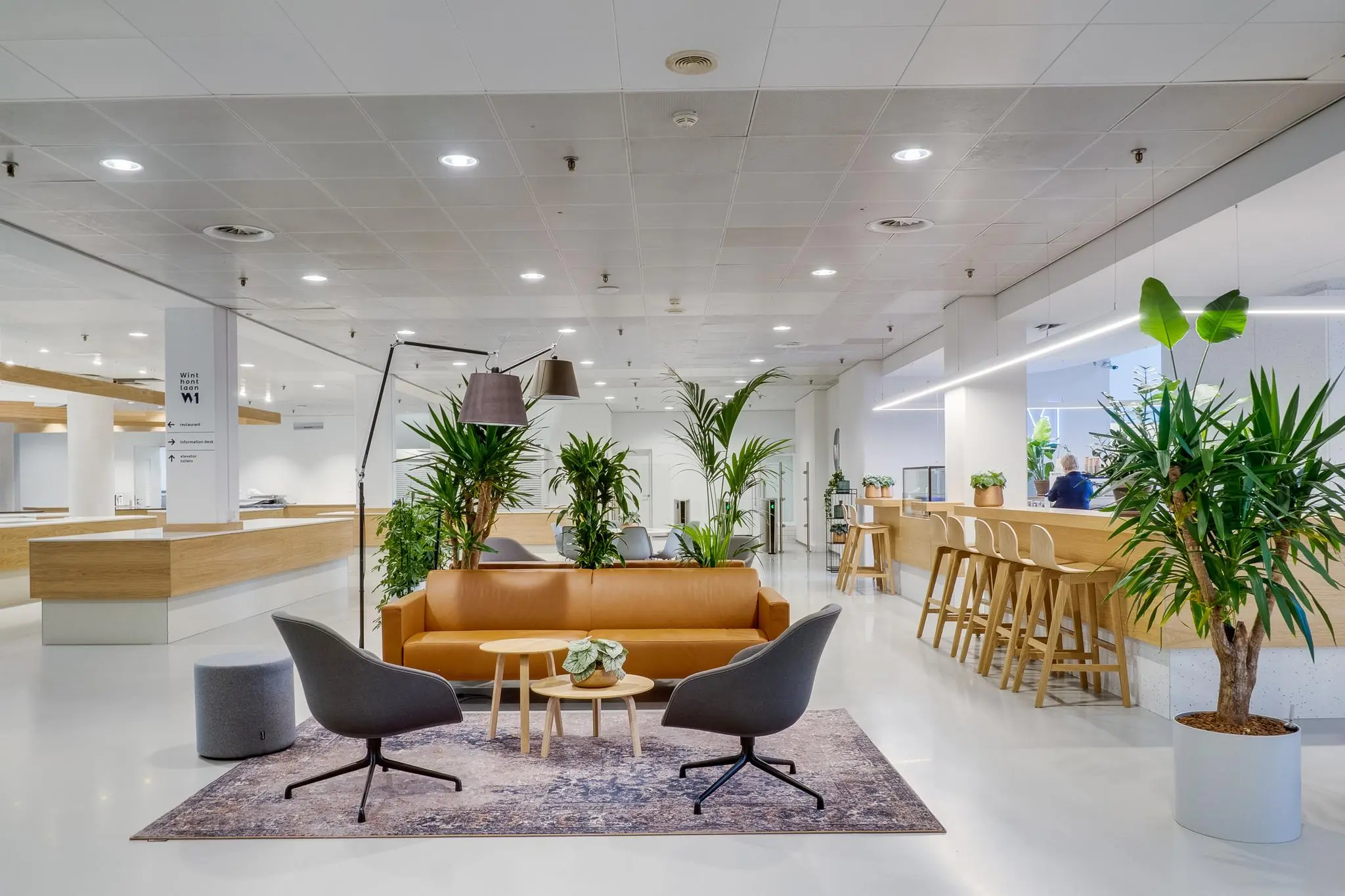 Moderne, open kantoorlobby aan de Winthontlaan met zitgedeelte, veel planten en houten accenten.
