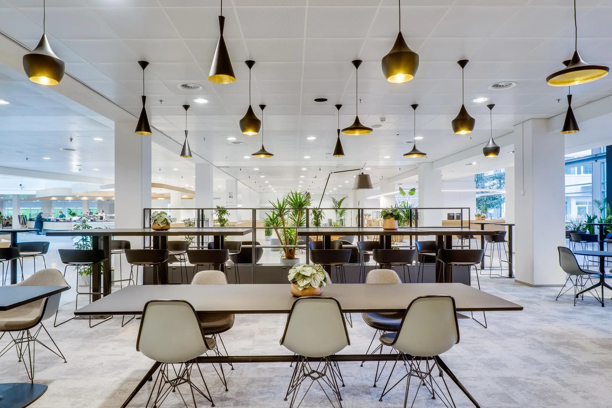 Moderne, open kantoorcafetaria aan de Winthontlaan met strakke meubels, hanglampen en veel groen.