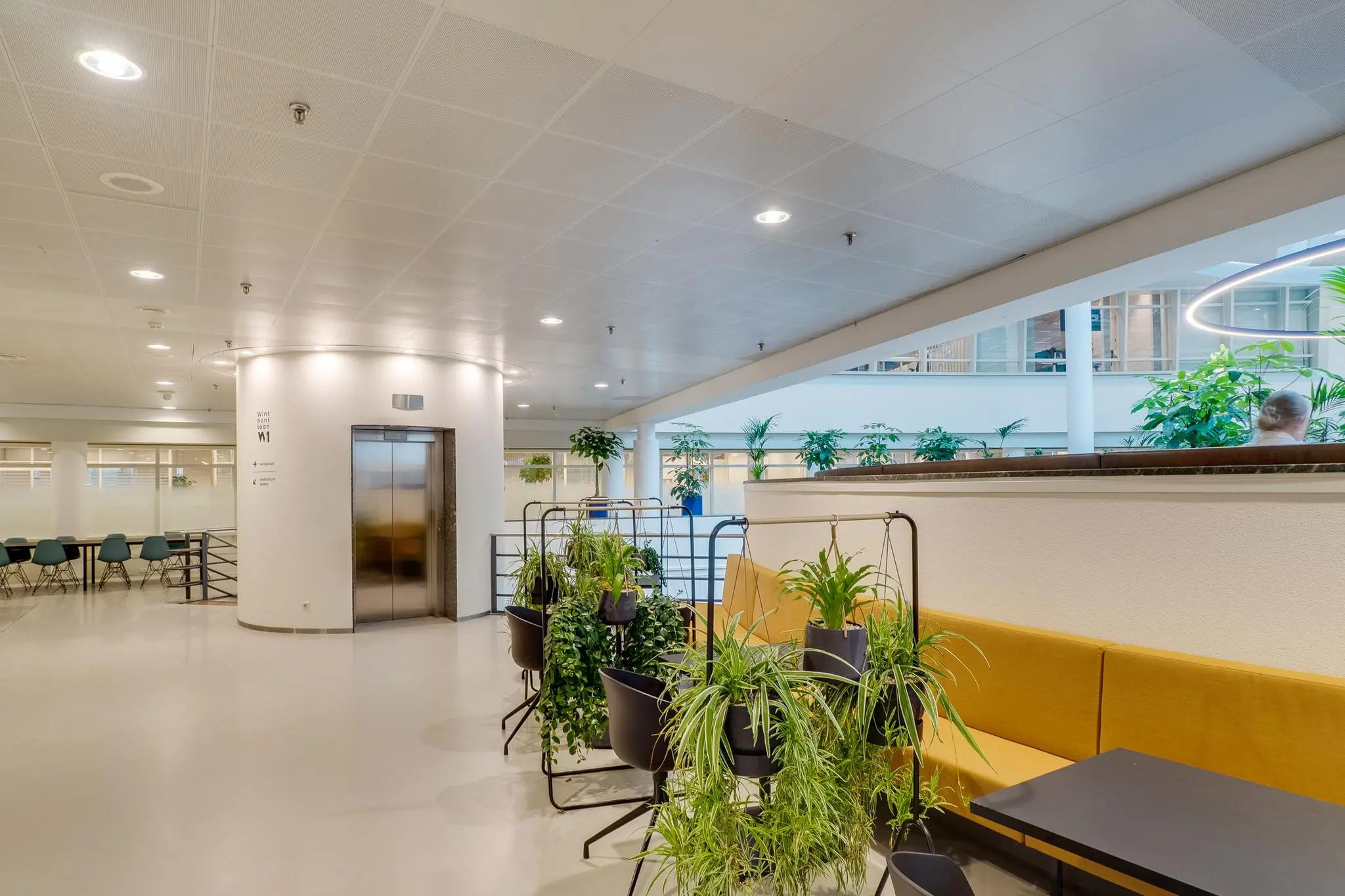 Moderne wachtruimte aan de Winthontlaan met gele banken, hangplanten en een lift in een lichte, open kantooromgeving.