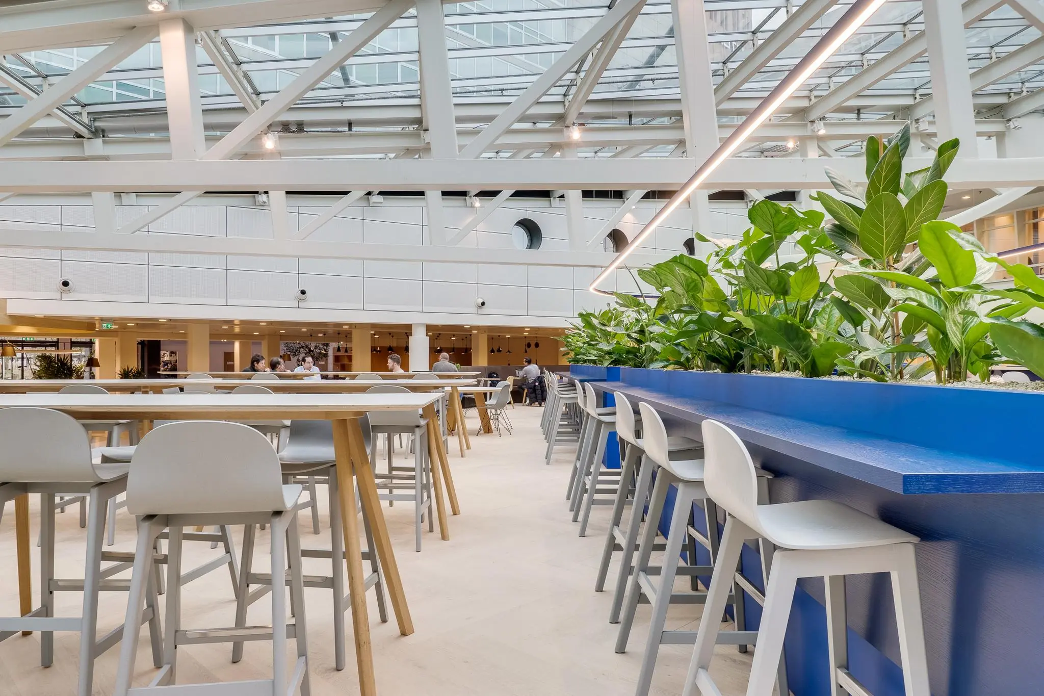 Moderne, lichte kantoorkantine aan de Winthontlaan met hoge tafels, barkrukken en een blauwe plantenbak als scheidingselement.