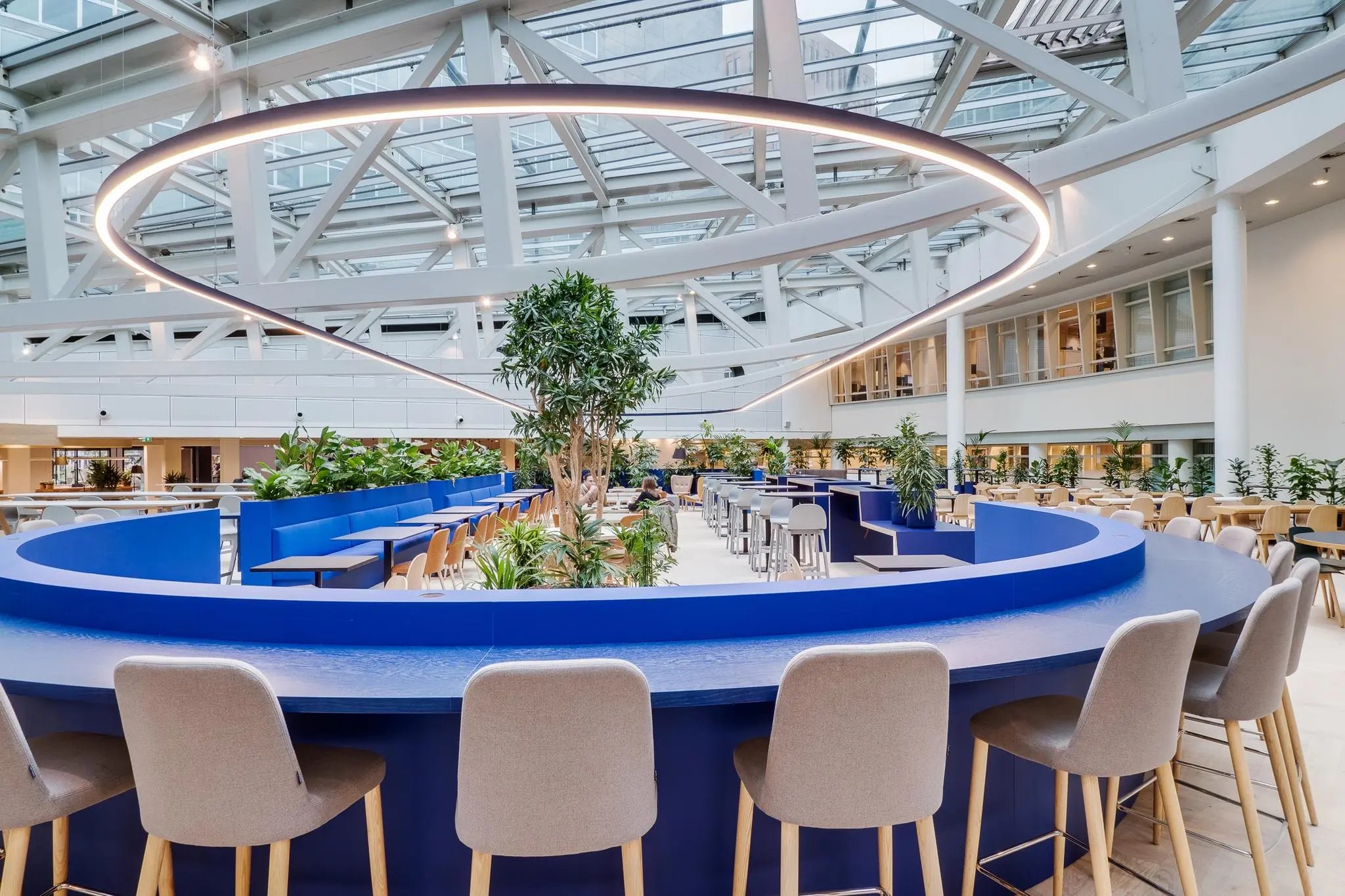 Moderne en lichte kantoorlounge aan de Winthontlaan met blauwe zitgedeeltes, veel groen en een groot rond lichtobject.