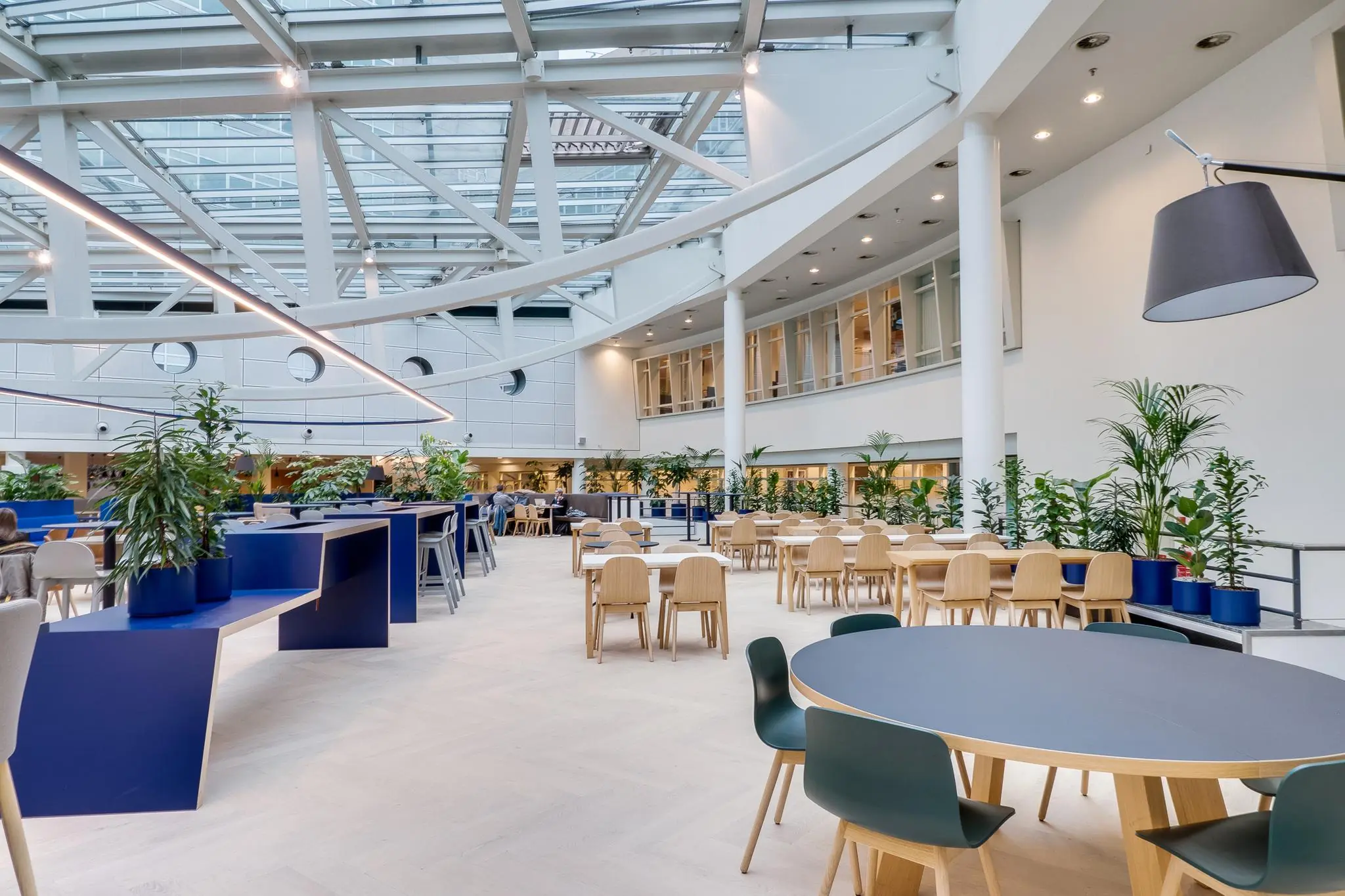 Moderne en lichte kantoorlounge aan de Winthontlaan met ronde tafels, houten stoelen, veel planten en een glazen dakconstructie.