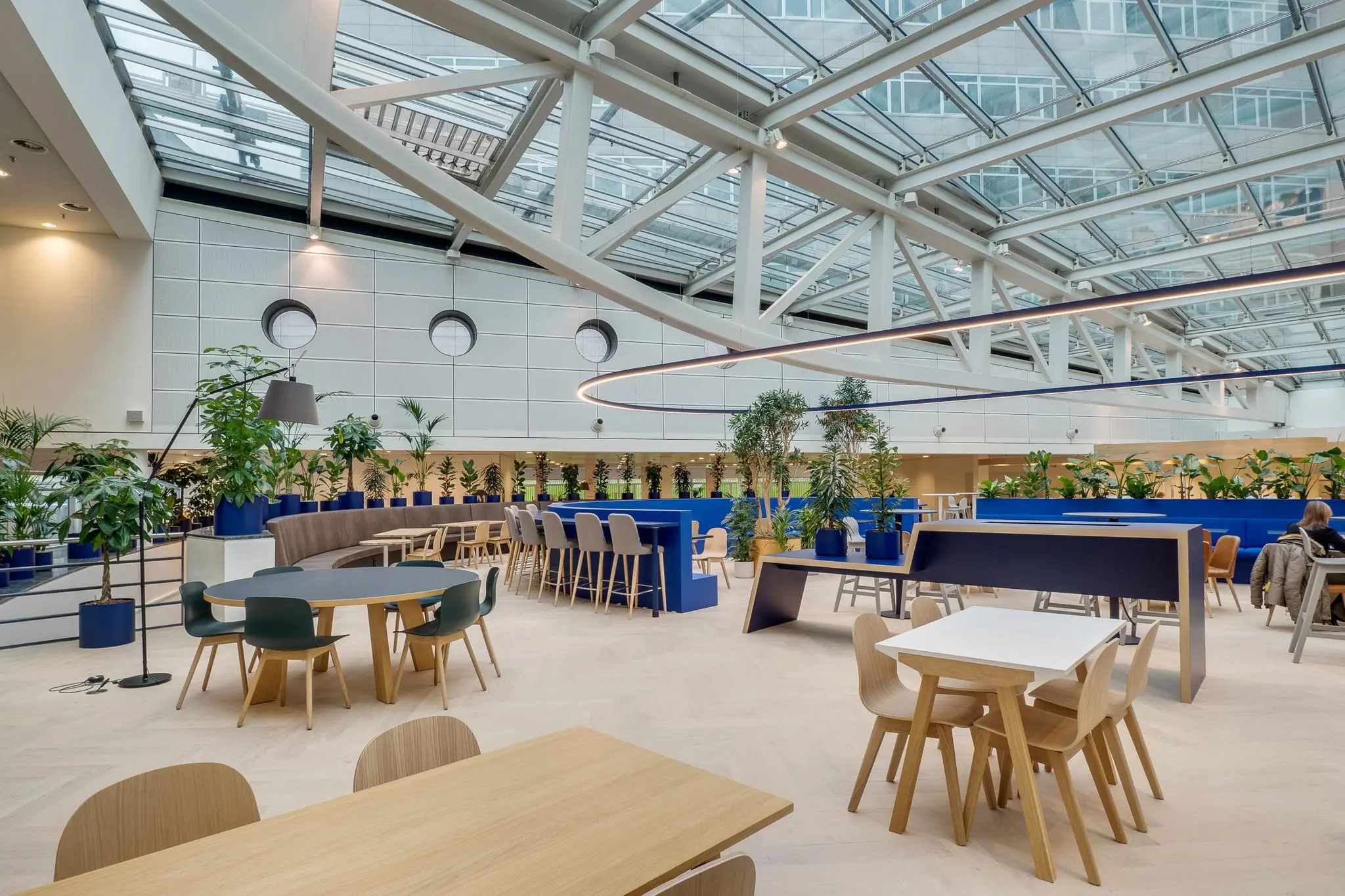 Moderne, lichtovergoten kantoorlounge aan de Winthontlaan met houten meubels, planten en een glazen dak.