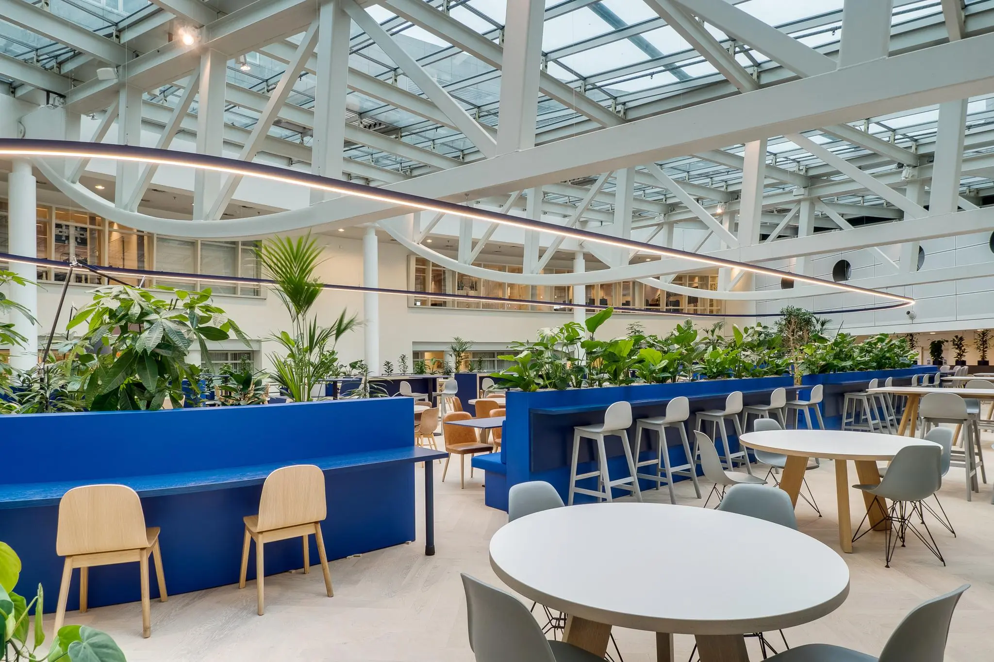 Moderne en lichtovergoten kantoorlounge aan de Winthontlaan met blauwe accenten, veel groen en diverse zitplaatsen.