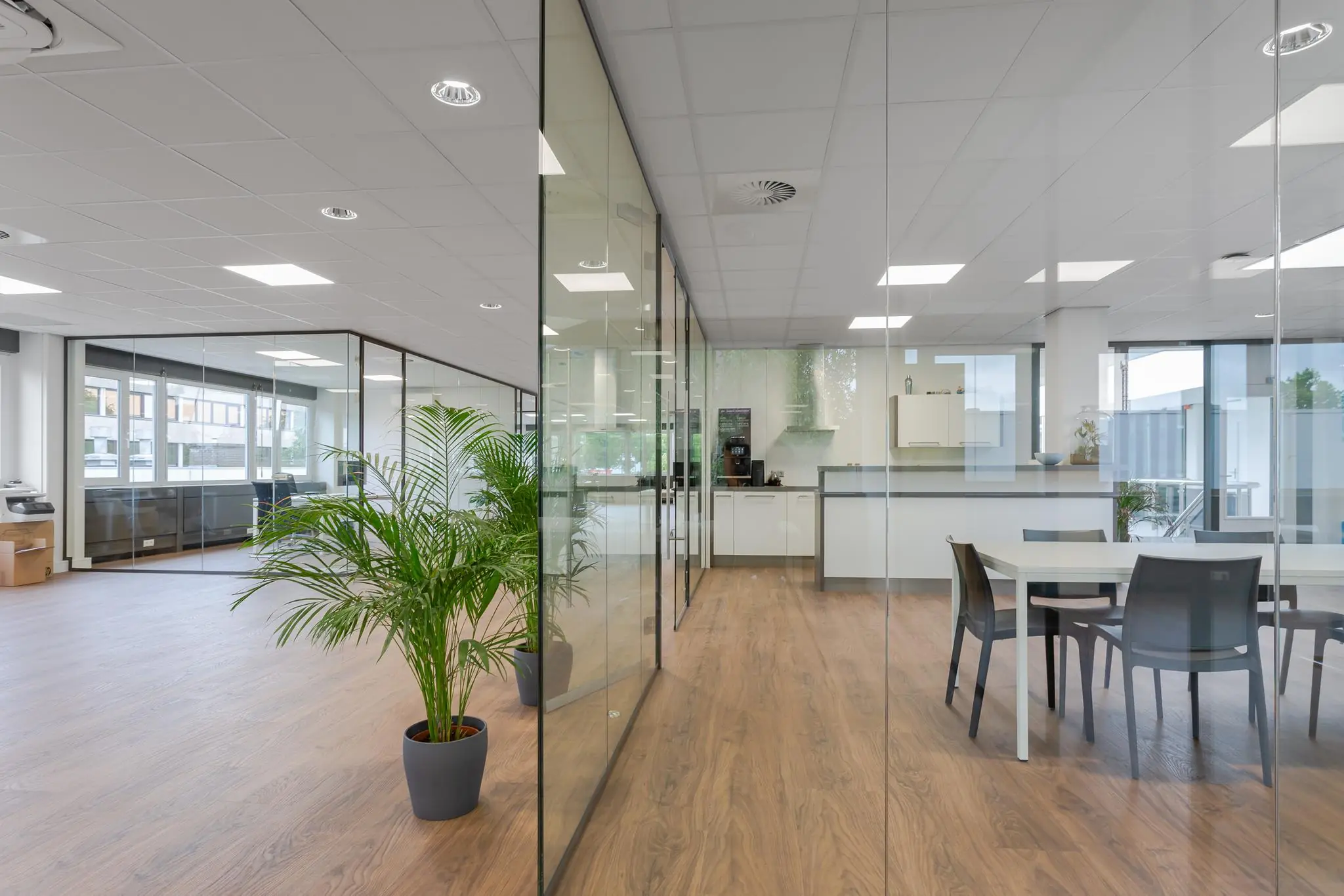 Moderne kantoorkeuken en vergaderruimte met glazen wanden, houten vloer en een grote kamerplant.