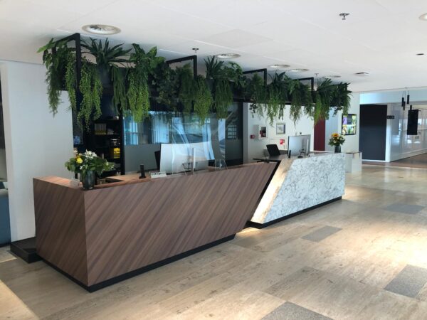 Moderne receptiebalie in een kantoorpand aan de Newtonlaan, met hangende planten en een combinatie van hout en marmer.