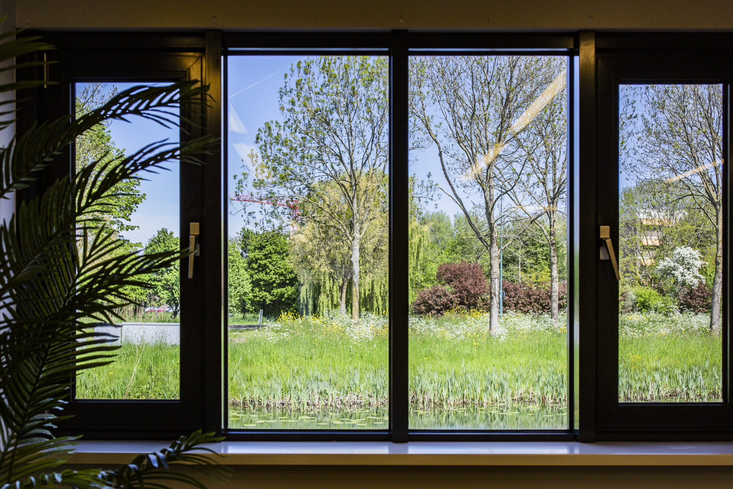 Uitzicht vanuit het kantoor met een raam op een groene, boomrijke buitenruimte.