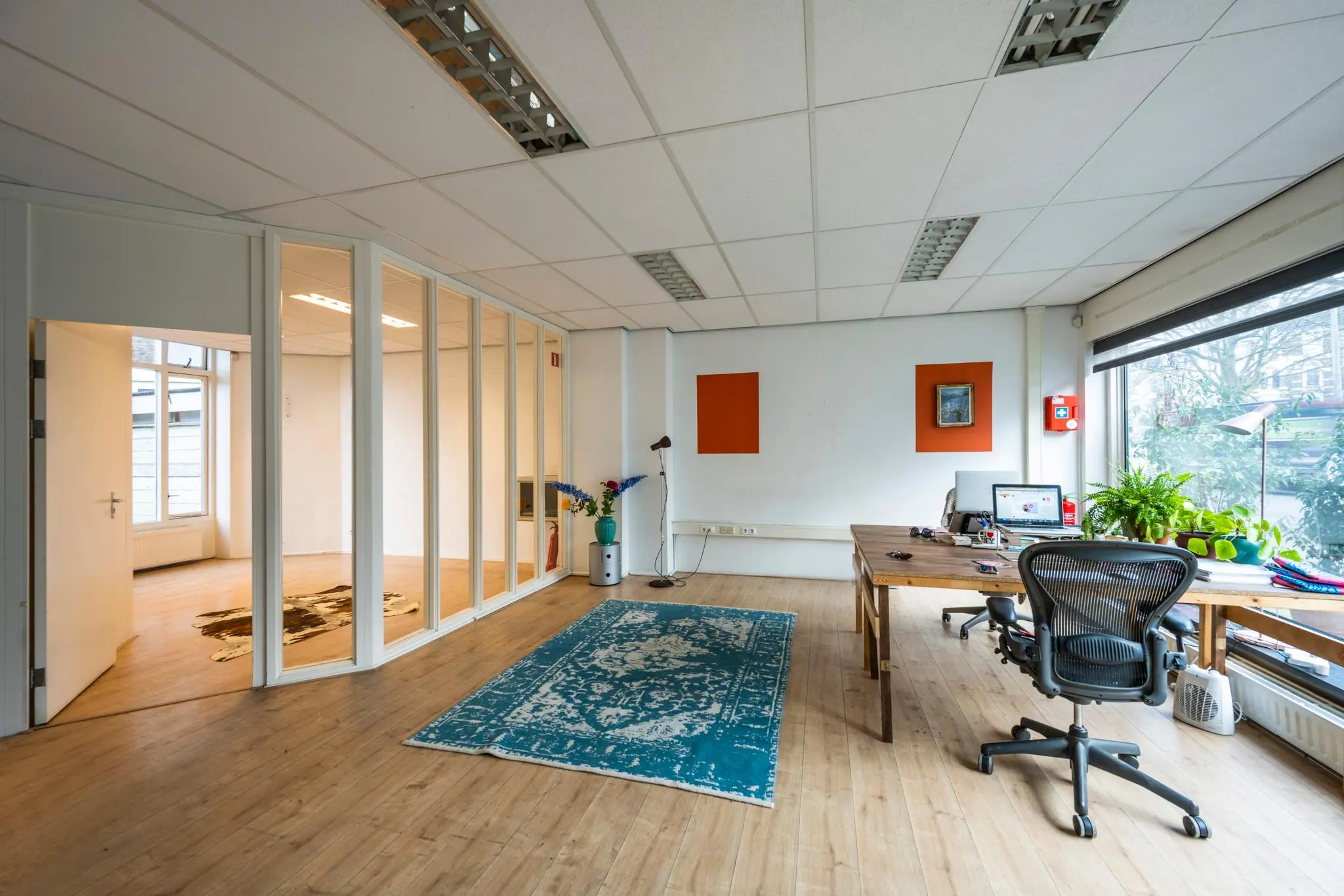 Modern kantoorinterieur aan de Nassaukade met houten vloer, groot bureau bij het raam en een opvallend blauw vloerkleed.