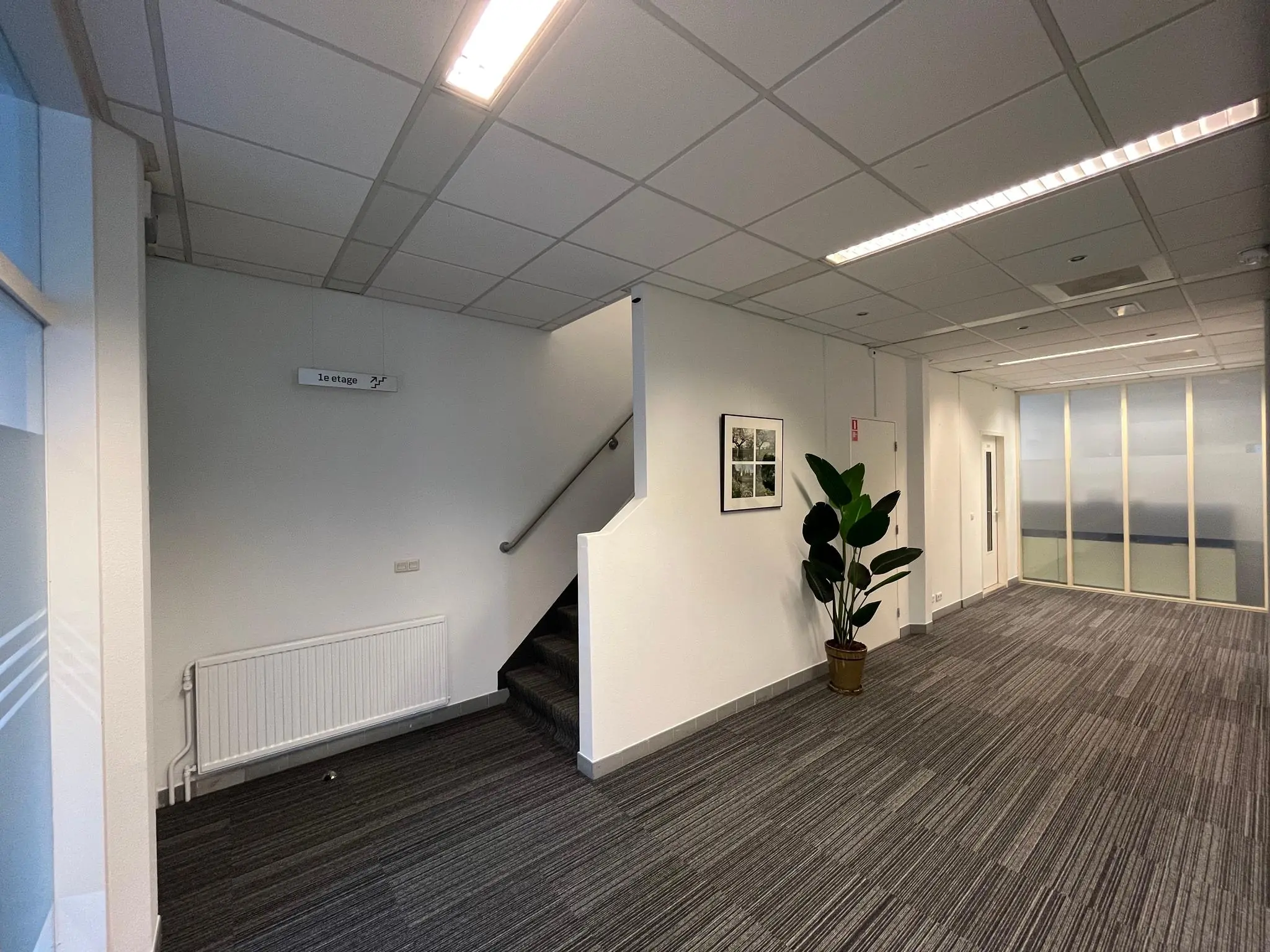 Kantoorhal aan de Utrechtseweg met trap, plant, wandfoto en glazen scheidingswand.