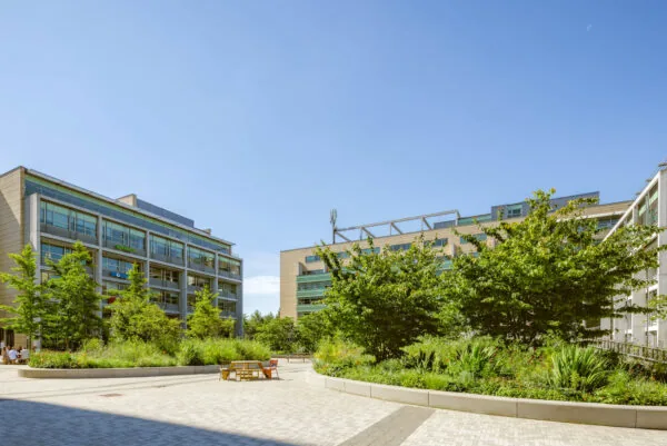 Moderne kantoorgebouwen aan de Papendorpseweg met een groene binnentuin en zitplaatsen onder een heldere blauwe lucht.