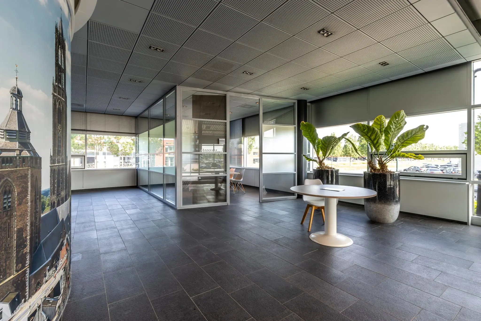 Moderne kantoorruimte aan de Rijnzathe met glazen vergaderruimtes, grote planten en een ronde tafel bij het raam.