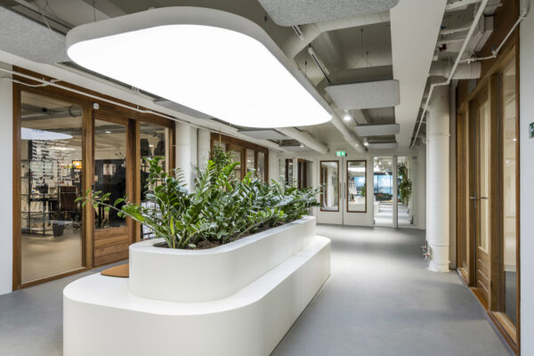 Moderne kantoorruimte in HNK Diemen met een gang voorzien van plantenbakken, houten deuren en grote plafondlampen.