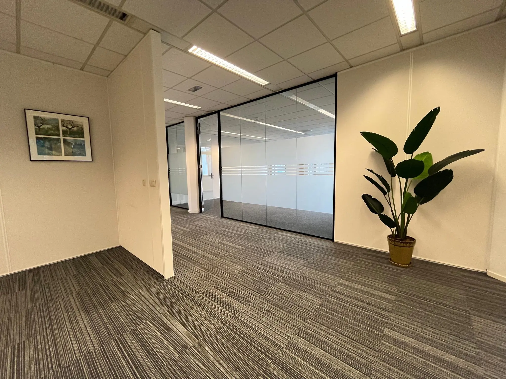 Moderne kantoorruimte aan de Utrechtseweg met grijs gestreept tapijt, glazen vergaderruimte, een groene kamerplant en een kunstwerk aan de muur.