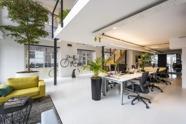 Modern ingericht kantoor aan de Oostelijke Handelskade met open werkplekken, veel planten en natuurlijke lichtinval.