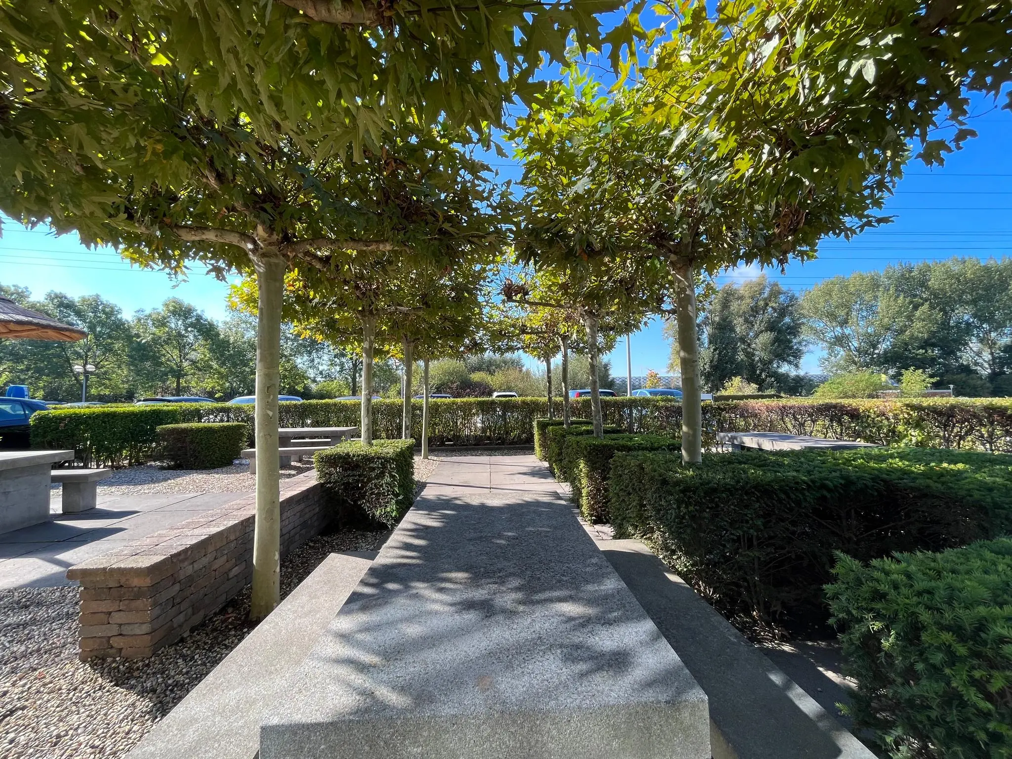 Schaduwrijke zitplekken met stenen banken en bomen aan de Savannahweg op een zonnige dag.