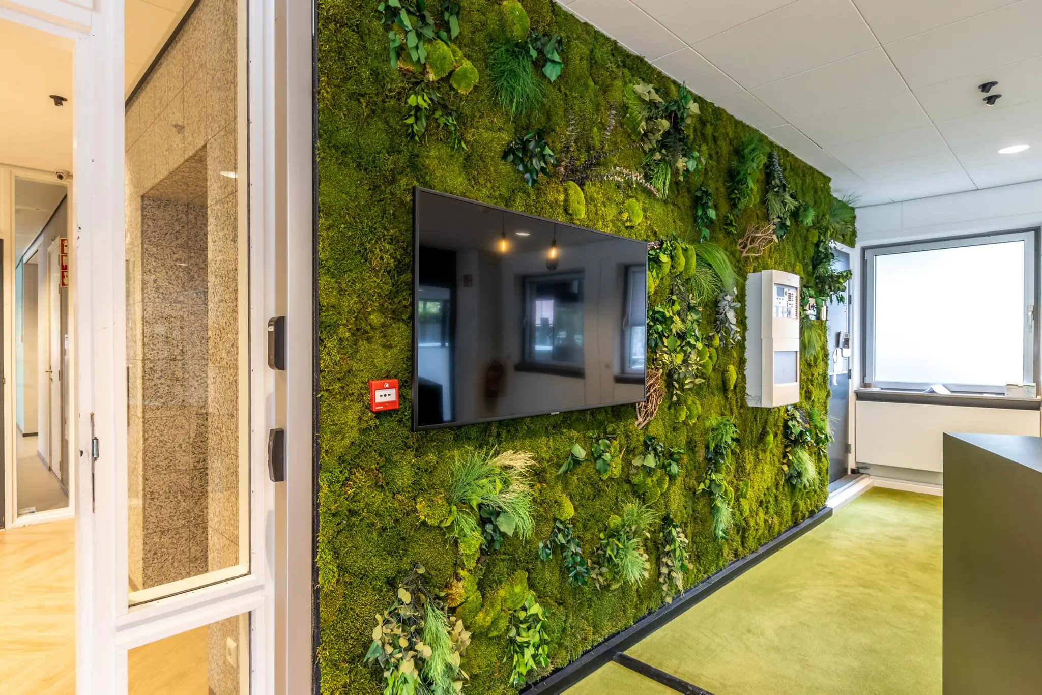 Groene moswand met geïntegreerd televisiescherm in een modern kantoor aan de Pythagoraslaan.