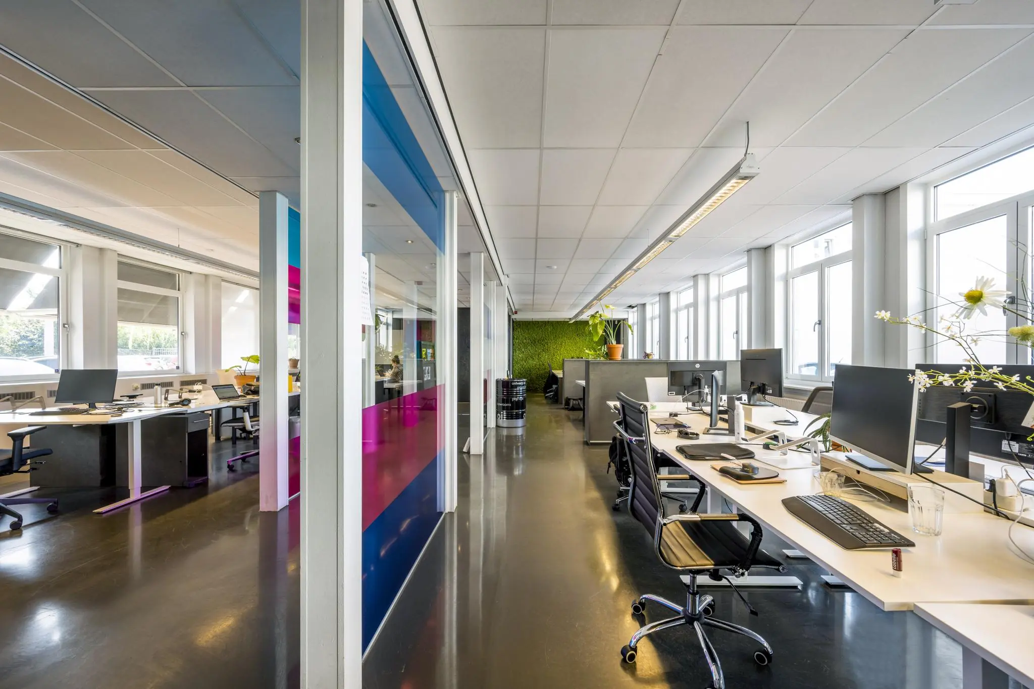 Moderne open kantoorruimte aan de Vliegtuigstraat met werkplekken, grote ramen en kleurrijke glazen wand.