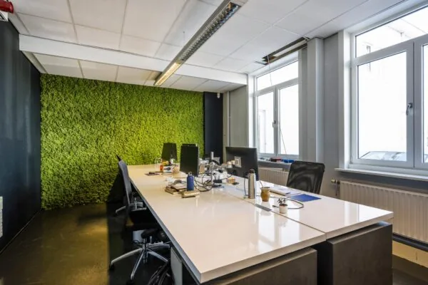 Moderne kantoorruimte aan de Vliegtuigstraat met werkplekken, groene moswand en grote ramen voor natuurlijk licht.